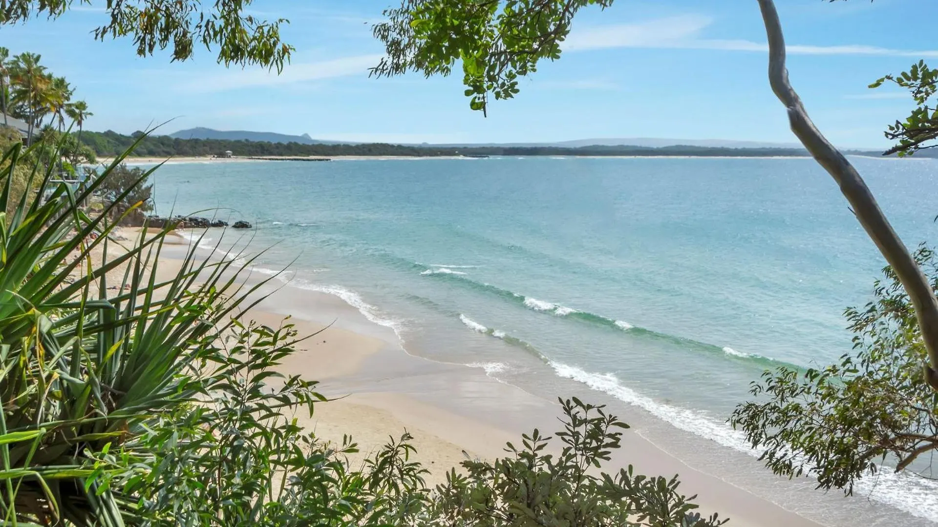 Little Cove Townhouse 12 Pandanus Street 14 Villa Noosa Heads Australia